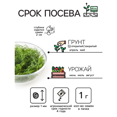 Семена Укроп "Кибрай", 1 г