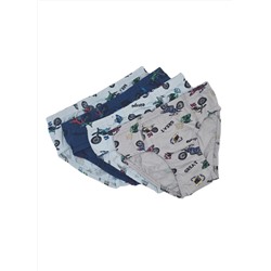 Трусы для мальчика Berrak