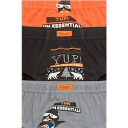 Трусы 3 шт. PELICAN, 735712