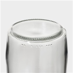 Кувшин Renga «Дэйзи», 1.5 л, 10×29 см, с пластиковым фильтром, стекло, прозрачный