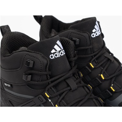 Зимние Ботинки Adidas Terrex Winter