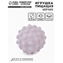 Игрушка пищащая «Мячик» для собак, 6.5 см, сиреневая МИКС