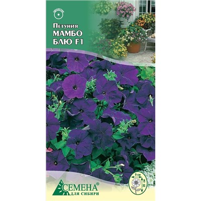 Петуния Мамбо Блю F1, 10сем (цв.)
