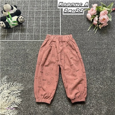 штаны 2050759-1