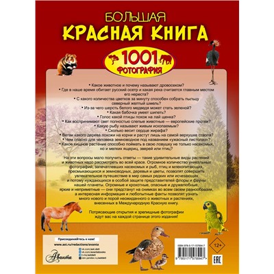 АСТ Спектор А.А. "Большая красная книга. 1001 фотография"