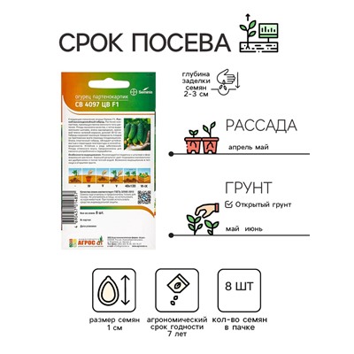 Семена Огурец, «СВ 4097 ЦВ», F1, 8 шт., Seminis, «Агрос»