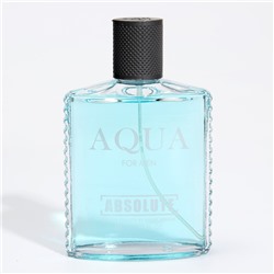 Туалетная вода мужская Absolute Aqua, 100 мл (по мотивам Acqua Di Gio (G.Armani)