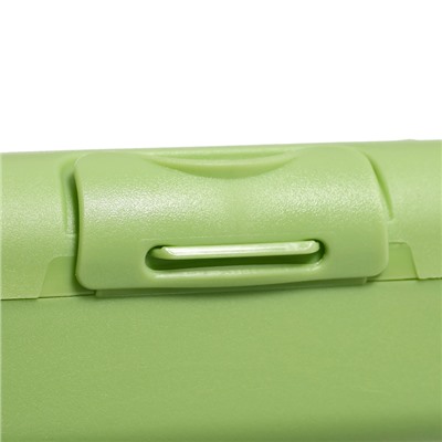 Ланч — бокс Sugar&Spice Honey, 0.7 л, фисташка