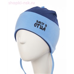 03-20-LT Шапка (50-52)