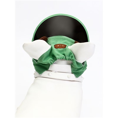 Кепка для собак и кошек, размер L, ОГ 35-46 см, высота 13 см, зелёная