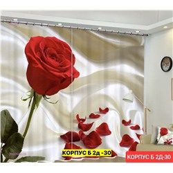 Фотошторы 3д 2050964-16