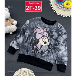 кофта с начесом 2055011-1