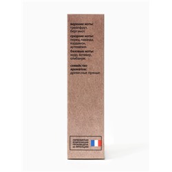 Туалетная вода мужская New Scent Blue Ray, 100 мл