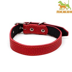 Ошейник кожаный с тиснением на синтепоне, 65×3 см, ОШ 40-55 см, красный