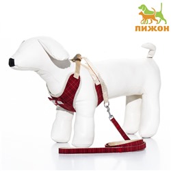 Комплект с мягкой шлейкой «Клетки», размер S, поводок, 120×1.5 см, ОГ 28-62 см, красный