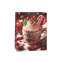 Пакет подарочный 18x23x10см / 5580M /уп 12/720/Новый год