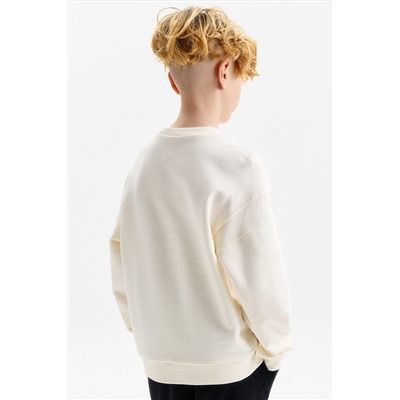 Толстовка для мальчиков PELICAN, 1236462