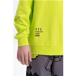 BFN3369/1 (Толстовка для мальчика, Pelican )