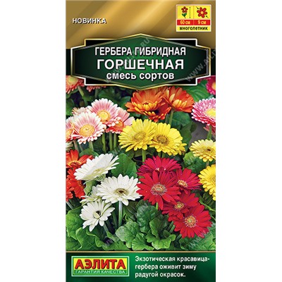 1435A Гербера Горшечная, смесь сортов 10 шт
