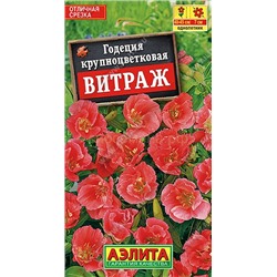 Годеция Витраж крупноцветковая махровая (Аэлита)