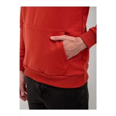 Худи футер петля, Арт. 1037 НАТАЛИ, 1202181