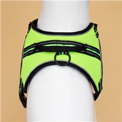 Шлейка улучшенная К7 мягкая светоотражающая, размер XL, ОГ 74-92 см, вес 28-47.5 кг, зелёная