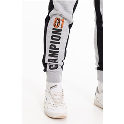 Брюки М12001Па