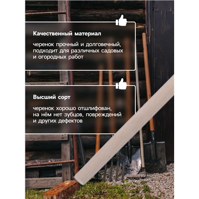 Черенок берёзовый, d=30 мм, длина 120 см, высший сорт, Greengo