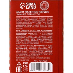 Новогодний подарочный набор косметики «Снегопад чудес»: мыло для рук кусковое 100 г и мочалка для тела, URAL LAB