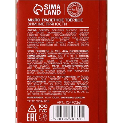 Новогодний подарочный набор косметики «Снегопад чудес»: мыло для рук кусковое 100 г и мочалка для тела, URAL LAB