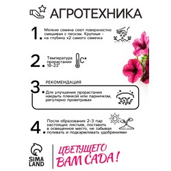 Семена Цветов Петуния "Тайдал Вейв Пурпл", 5 шт