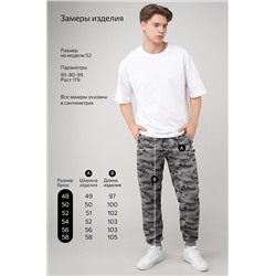 Мужские брюки из футера двухнитки Happyfox