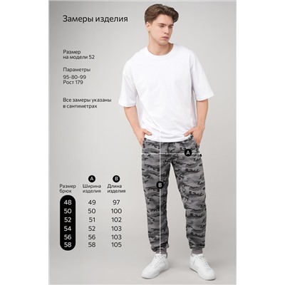 Мужские брюки из футера двухнитки Happyfox