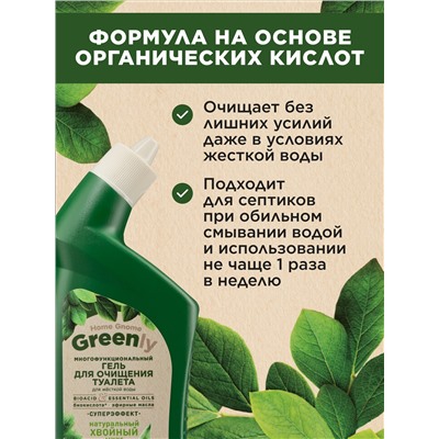 Многофункциональный гель для очищения туалета «Хвойный микс» Home Gnome Greenly