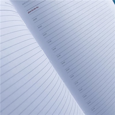 Ежедневник недатированный А5 272 стр. "ВЕЛЬВЕТ/VELVET" (КРАСНЫЙ) 3-115/10 Bruno Visconti