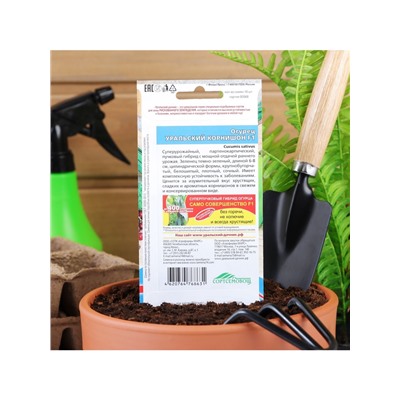 Набор семян Огурец "Уральский корнишон" F1, раннеспелый, партенокарпический, 5 шт.