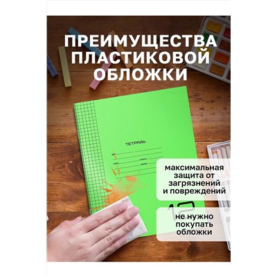 Набор тетрадей с пластиковой обложкой, 10шт 60991 НАТАЛИ, 1128501