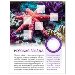 Мир животных с наклейками. Кто живёт под водой?