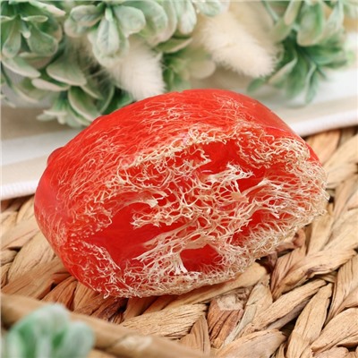 Мыло массажное с люффой «Малина/Ежевика« 100 г »Добропаровъ» розовый