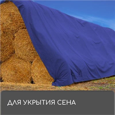 Тент защитный, 6 × 3 м, плотность 180 г/м², УФ, люверсы шаг 1 м, тарпаулин, УФ, синий