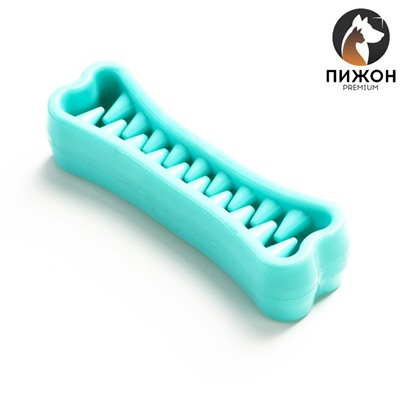 Игрушка-зубочистка для собак Пижон Premium «Зубастик», 12×3.8 см, мятная