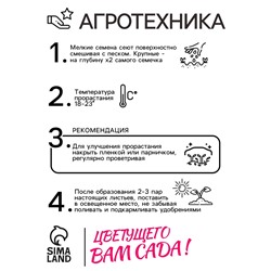 Семена цветов Бархатцы «Золотой великан», О, 0.1 г