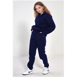 Брюки женские с начесом 14432 (Темно-синий)