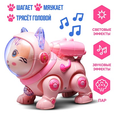 Кот "Электрокосмический кот" в коробке