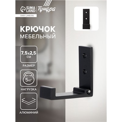 Крючок мебельный CAPPIO FOLD, однорожковый, складной, цвет чёрный