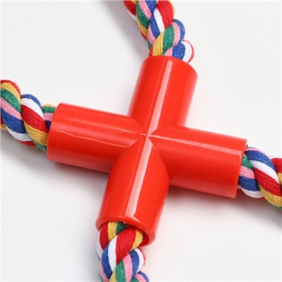Игрушка канатная «Восьмерка с зубочисткой», тренировочная, до 27 см, до 140 г, цвет МИКС