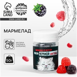 Мармелад в банке «Нервная система», вкус: ягодный, 50 г.
