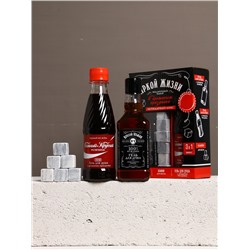 Подарочный набор «Яркой жизни», гель для душа виски и кола, 2×250 мл, камни для виски, Чистое счастье