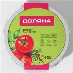 Контейнеры для еды Доляна, пластик, набор 3 шт., 500 мл, 1 л, 1.9 л, прозрачные