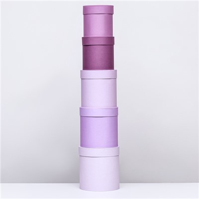 Набор круглых подарочных коробок 5 в 1 «Пудра», 20×20×20‒13.5×13.5×13.5 см